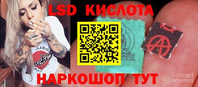 эйфоретик Гудермес