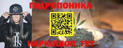 шишки Гулькевичи