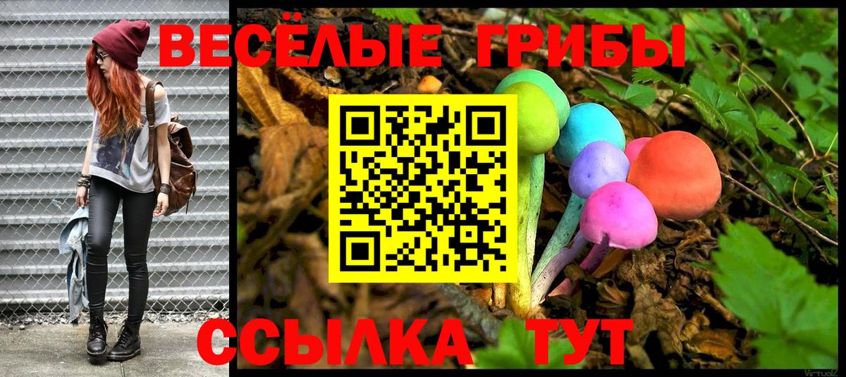 Псилоцибиновые грибы Psilocybine cubensis Джанкой
